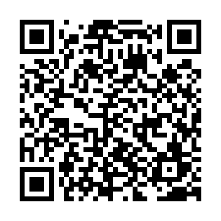 QR code for LNI53V