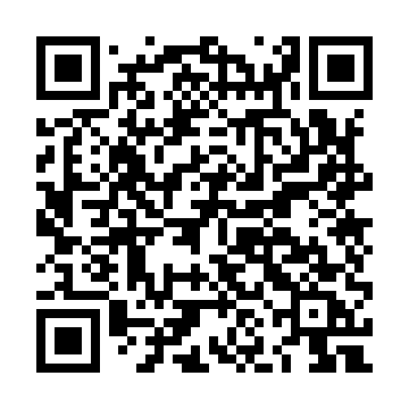 QR code for LNO95C
