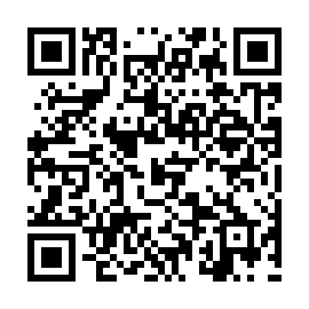 QR code for LPN98P