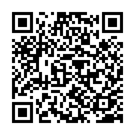QR code for LSG80Q