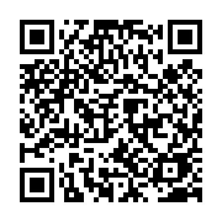 QR code for LSI41E