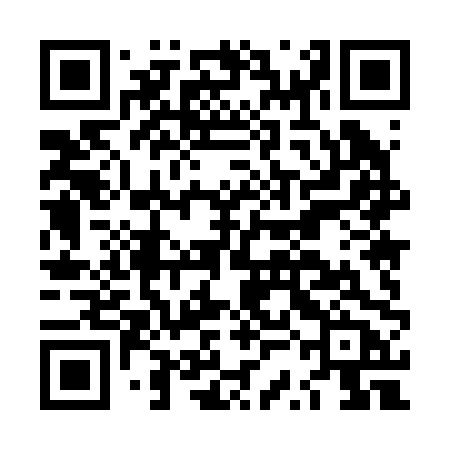 QR code for LSM20B