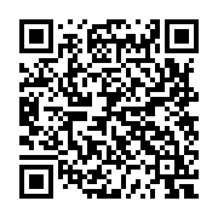 QR code for LSR91Z