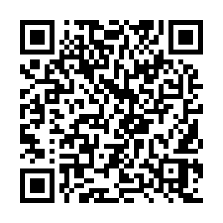 QR code for LUA95R