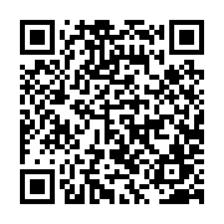 QR code for LUD29V
