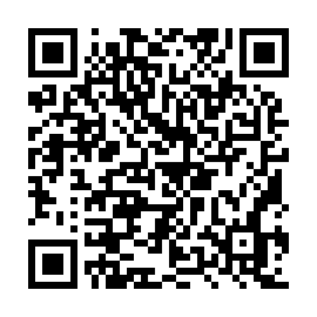 QR code for LUM96N