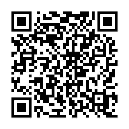 QR code for LUX91I