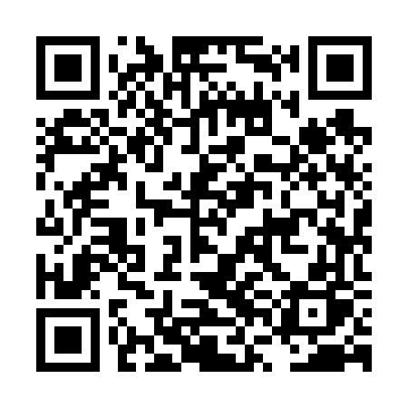 QR code for LVI66P