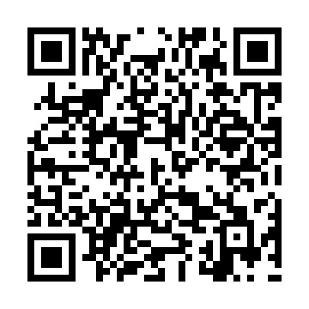 QR code for LYL93A