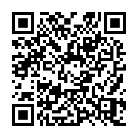 QR code for LYX96R