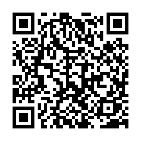 QR code for LYZ29P