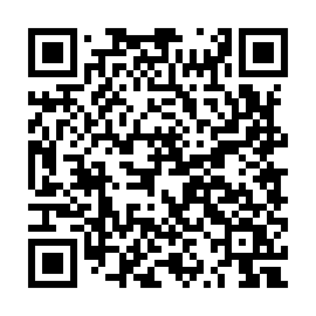 QR code for LZD95V