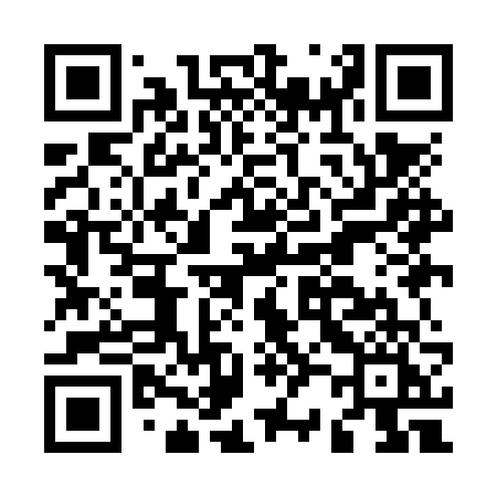 QR code for M29NVI