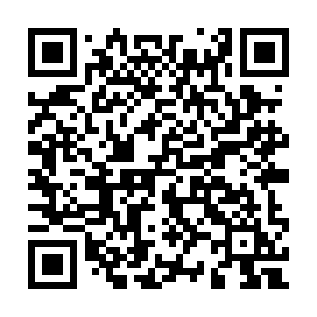 QR code for M29PII