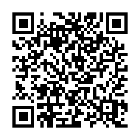 QR code for M29QAT