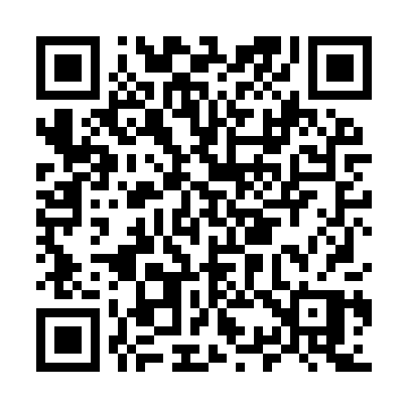 QR code for M38IPP