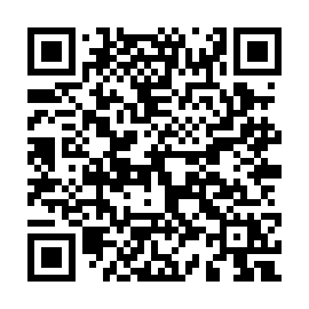 QR code for M38PGX