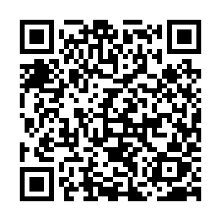 QR code for MGU29Z