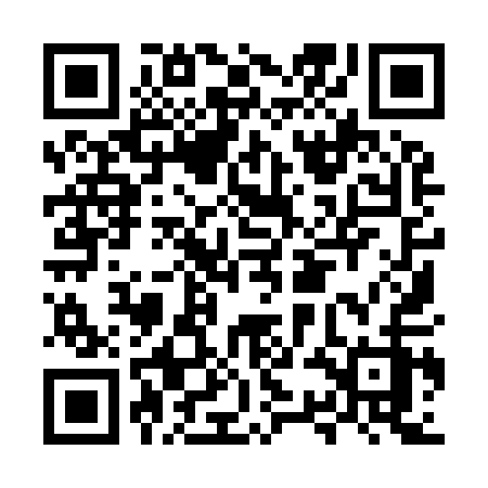 QR code for MSI91Z