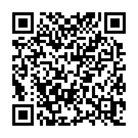 QR code for MSV38H