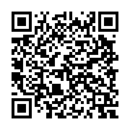QR code for MVX08P