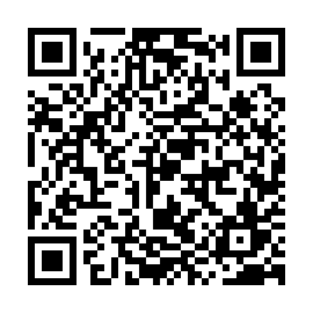 QR code for MYV11V