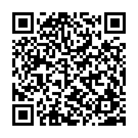 QR code for N09IRV