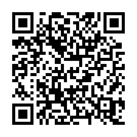 QR code for N11BVB