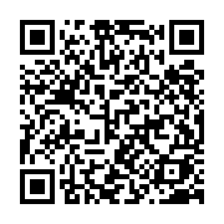 QR code for N11EOI
