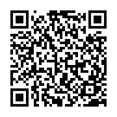 QR code for N11JUR