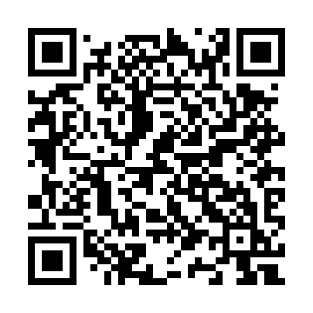 QR code for N12DYK