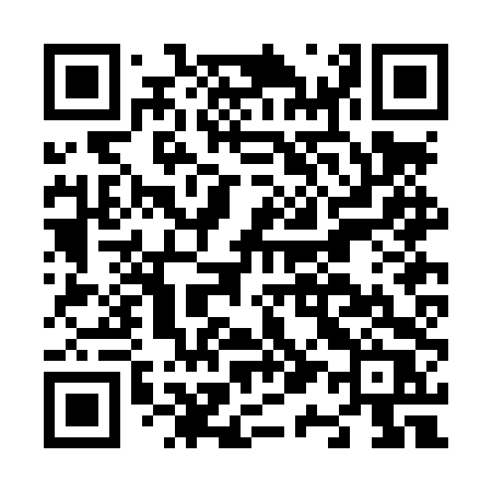 QR code for N12LTR
