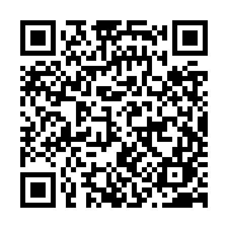 QR code for N12ZUL