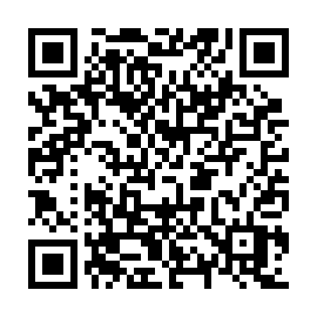 QR code for N13RAT