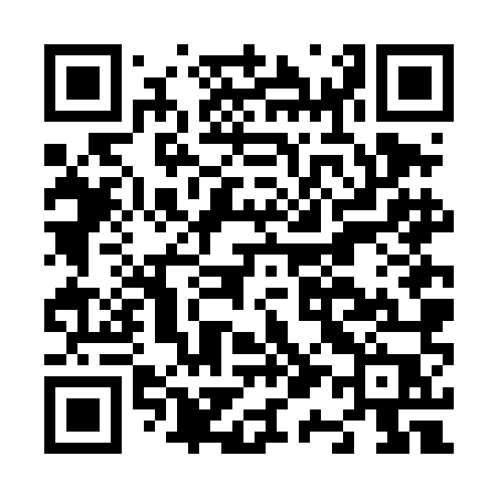 QR code for N16DMP