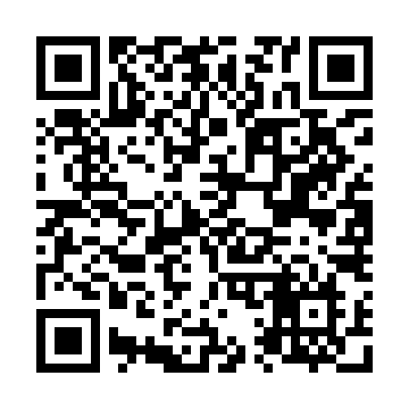 QR code for N17IIN