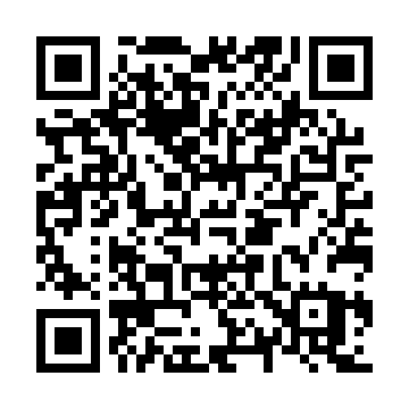 QR code for N17QRU