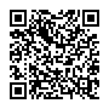 QR code for N17VII