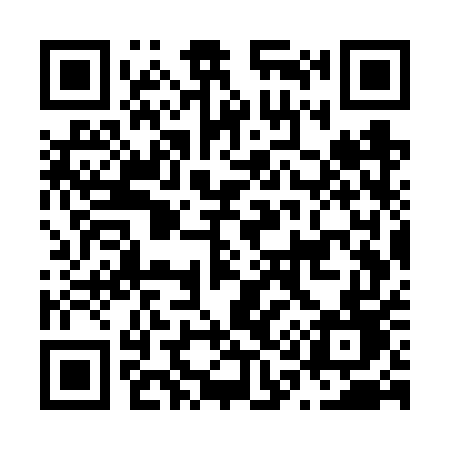 QR code for N17VUD