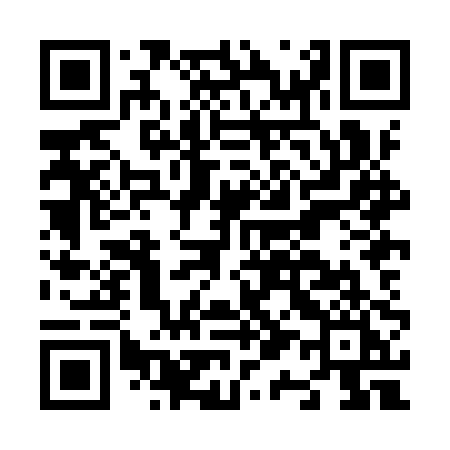 QR code for N18IPI