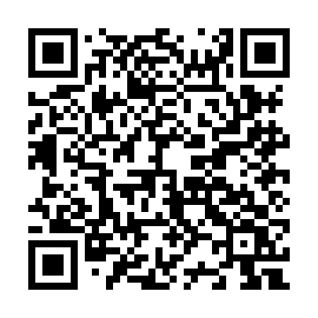 QR code for N20HFV