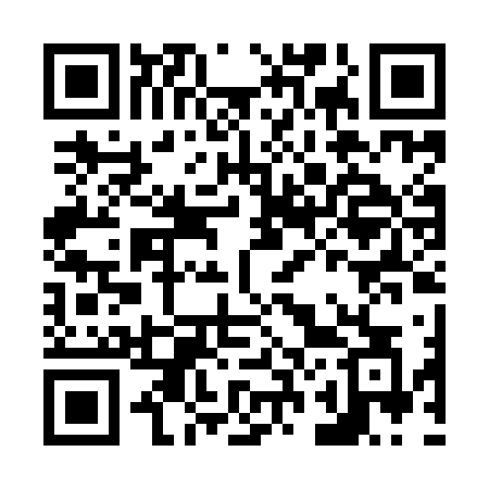 QR code for N20IFC