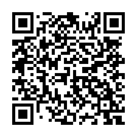 QR code for N20LZO