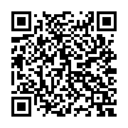 QR code for N20QZS