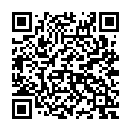 QR code for N21QJJ