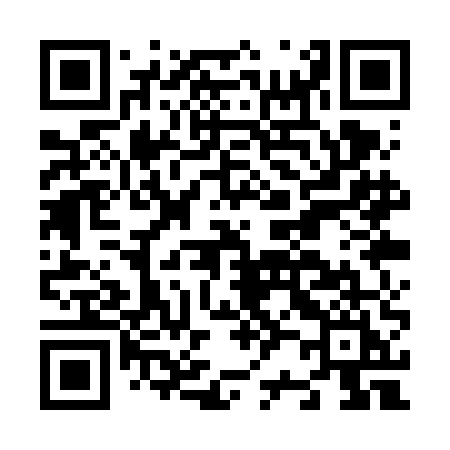 QR code for N21VEI