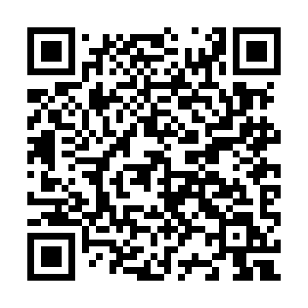 QR code for N22MIL