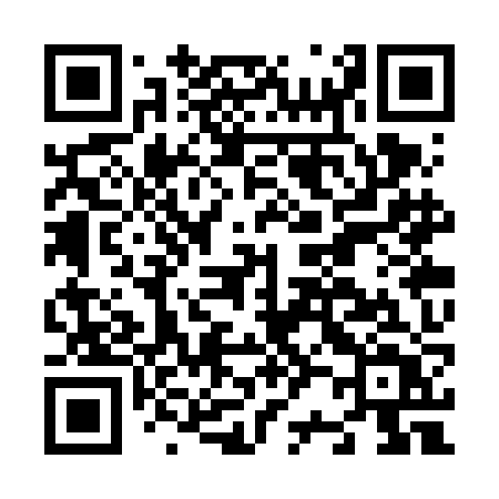 QR code for N23VJT
