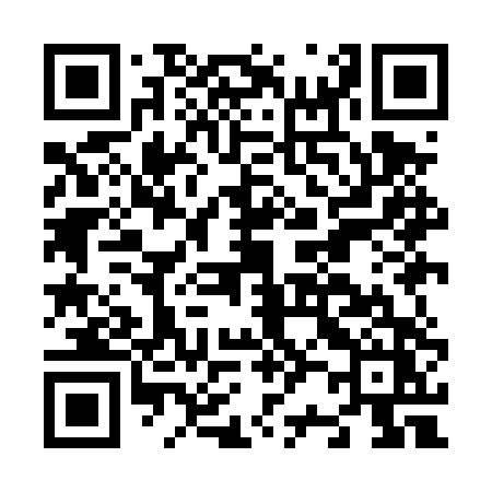 QR code for N29DTZ