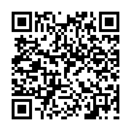 QR code for N29IAV